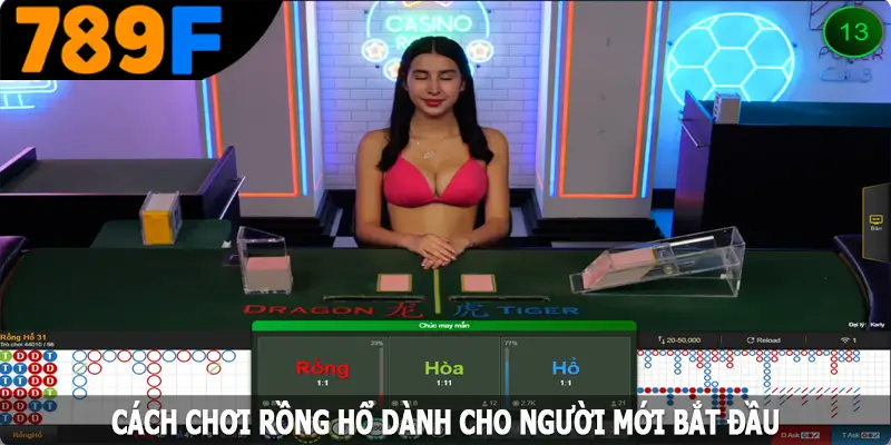 Cách chơi rồng hổ dành cho người mới bắt đầu