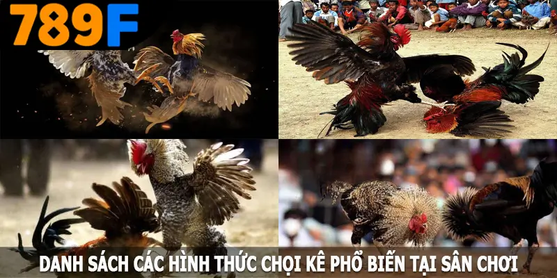 Danh sách các hình thức chọi kê phổ biến tại sân chơi