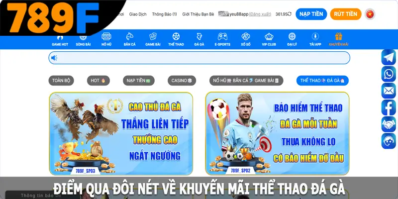 Điểm qua đôi nét về khuyến mãi thể thao đá gà