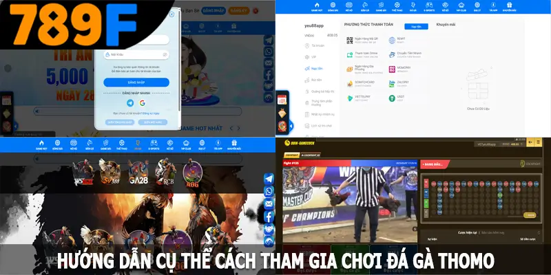 Hướng dẫn cụ thể cách tham gia chơi đá gà Thomo
