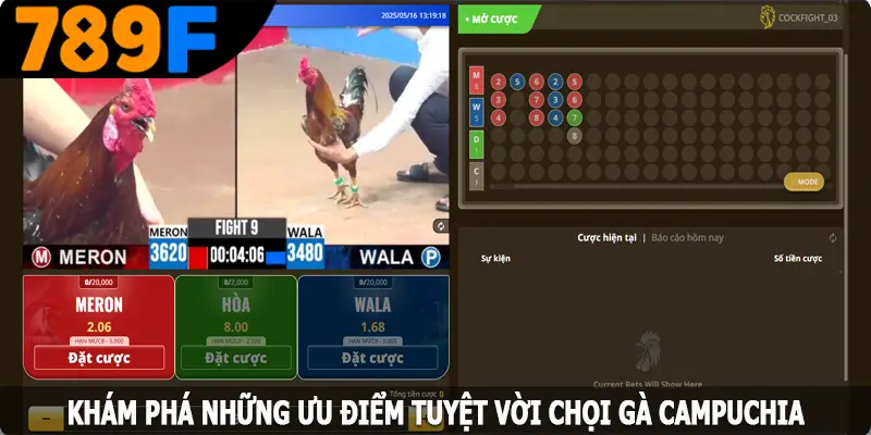 kham pha nhung uu diem tuyet voi ma choi ga campuchia so huu