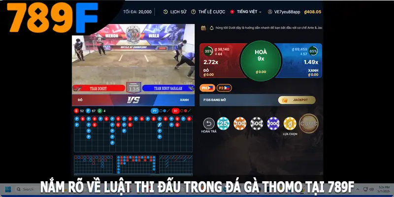 Nắm rõ về luật thi đấu trong đá gà Thomo tại 789F