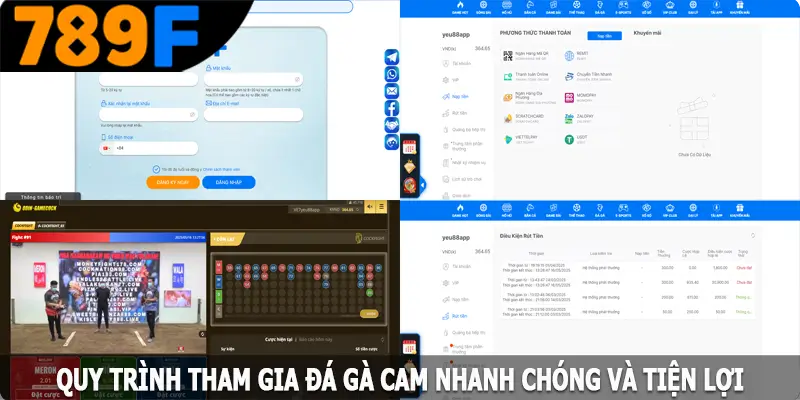 quy trinh tham gia da ga cam nhanh chong va tien loi