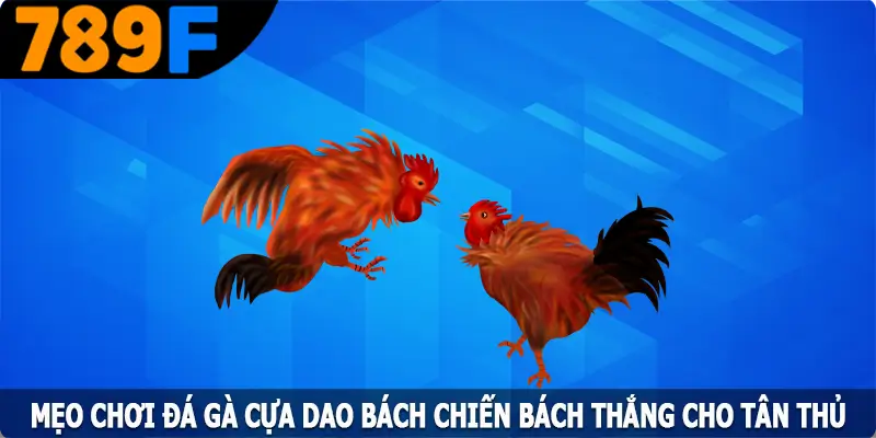Mẹo Chơi Đá Gà Cựa Dao Bách Chiến Bách Thắng Cho Tân Thủ 2 Mẹo Chơi Đá Gà Cựa Dao Bách Chiến Bách Thắng Cho Tân Thủ