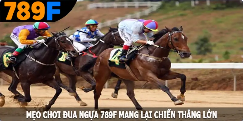 Mẹo chơi đua ngựa 789F mang lại chiến thắng lớn Mẹo chơi đua ngựa 789F mang lại chiến thắng lớn