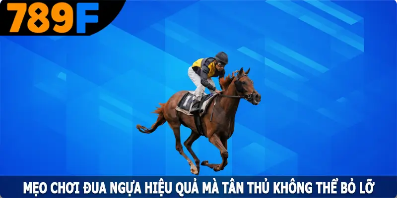 Mẹo Chơi Bóng Chày Trăm Trận Trăm Thắng Từ 789F 12 Mẹo Chơi Đua Ngựa Hiệu Quả Mà Tân Thủ Không Thể Bỏ Lỡ