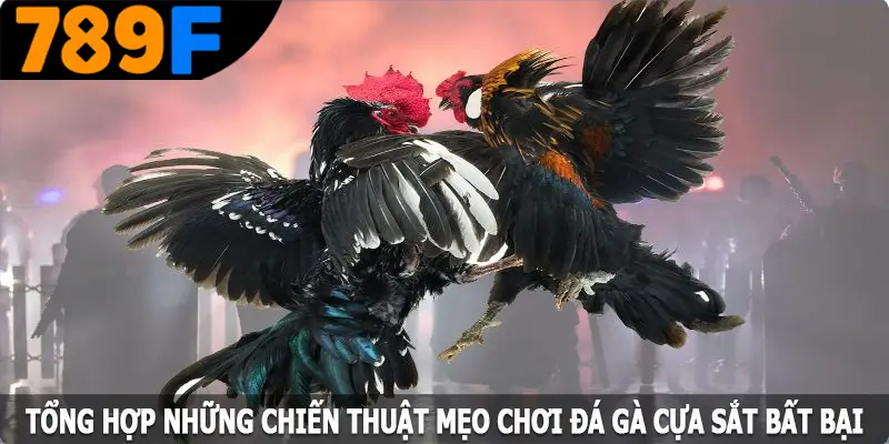Tổng hợp những chiến thuật mẹo chơi đá gà cựa sắt bất bại