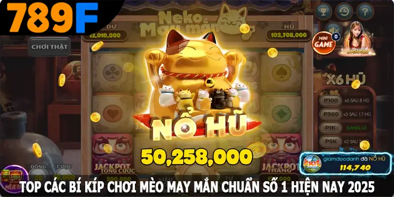 Top các bí kíp chơi mèo may mắn chuẩn số 1 hiện nay 2025 Top các bí kíp chơi mèo may mắn chuẩn số 1 hiện nay 2025