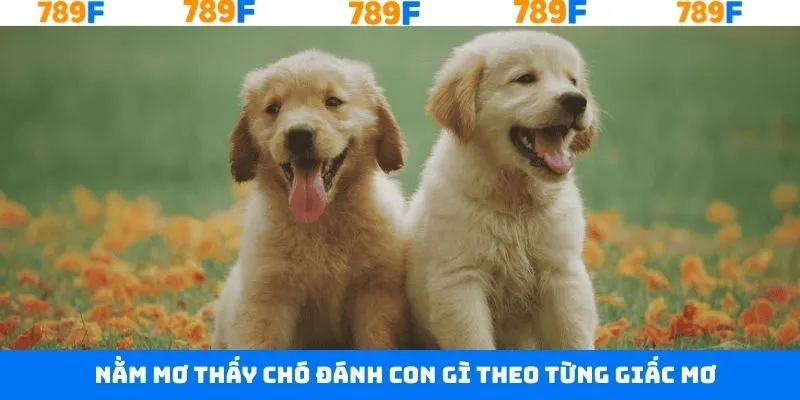 Giai đáp nằm mơ thấy chó đánh con gì