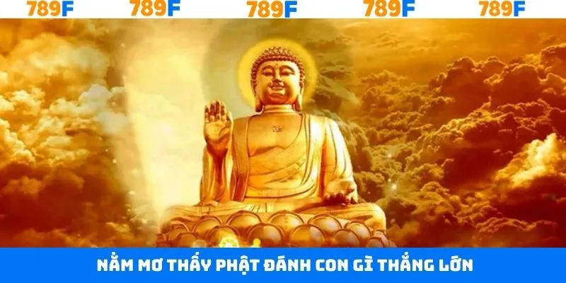 Tập hợp số nên đánh để thắng khủng khi mơ thấy phật