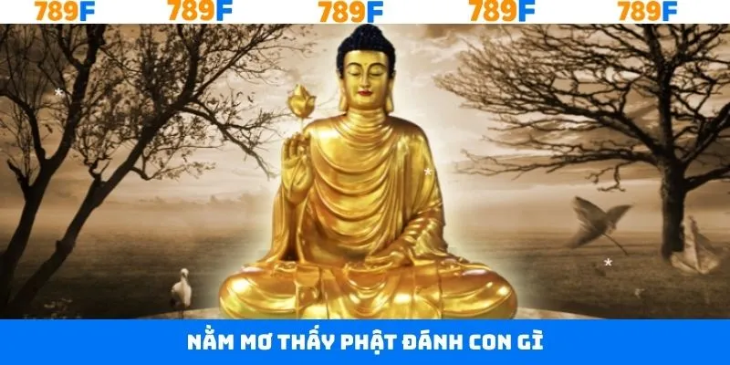 Nằm Mơ Thấy Phật Đánh Con Gì - Giãi Mã Giấc Mộng Cùng 789F 2 Nằm Mơ Thấy Phật Đánh Con Gì - Giãi Mã Giấc Mộng Cùng 789F