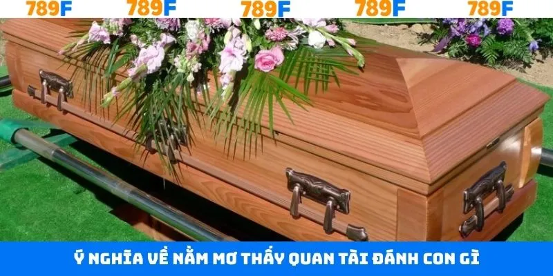 Nằm Mơ Thấy Con Nít Đánh Con Gì - Dễ Dàng Thắng Lô Đề 11 Tổng quan về giấc mộng quan tài