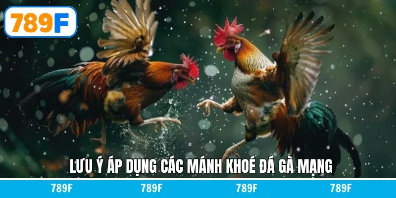 Cách Chơi Baccarat Luôn Thắng Dành Cho Người Chơi Tại 789F 12 Lưu ý quan trọng để dự đoán đúng trong đá gà mạng