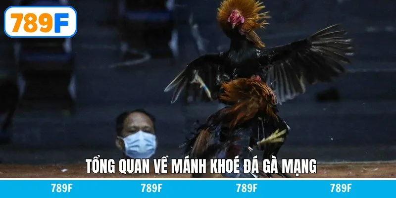 Cách Chơi Baccarat Luôn Thắng Dành Cho Người Chơi Tại 789F 10 Tổng quan về mánh khóe đá gà hiệu quả